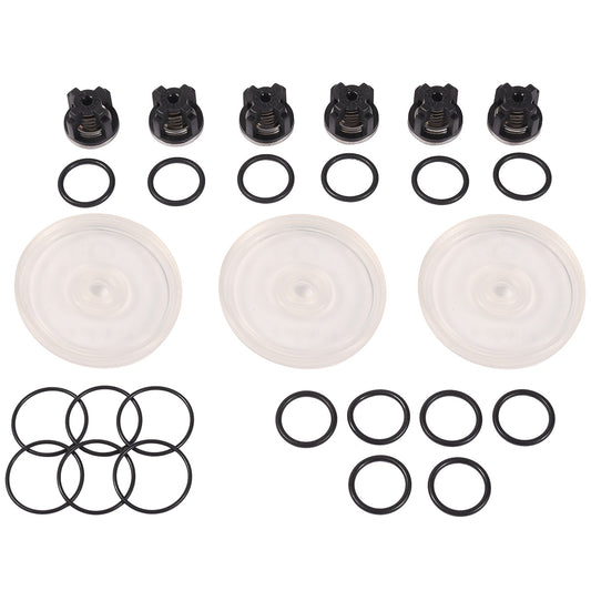 Hypro D403 Diaphragm & Valve Kit