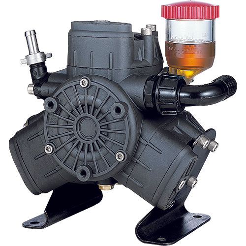 AR403-GR3/4-GCI Diaphragm Pump