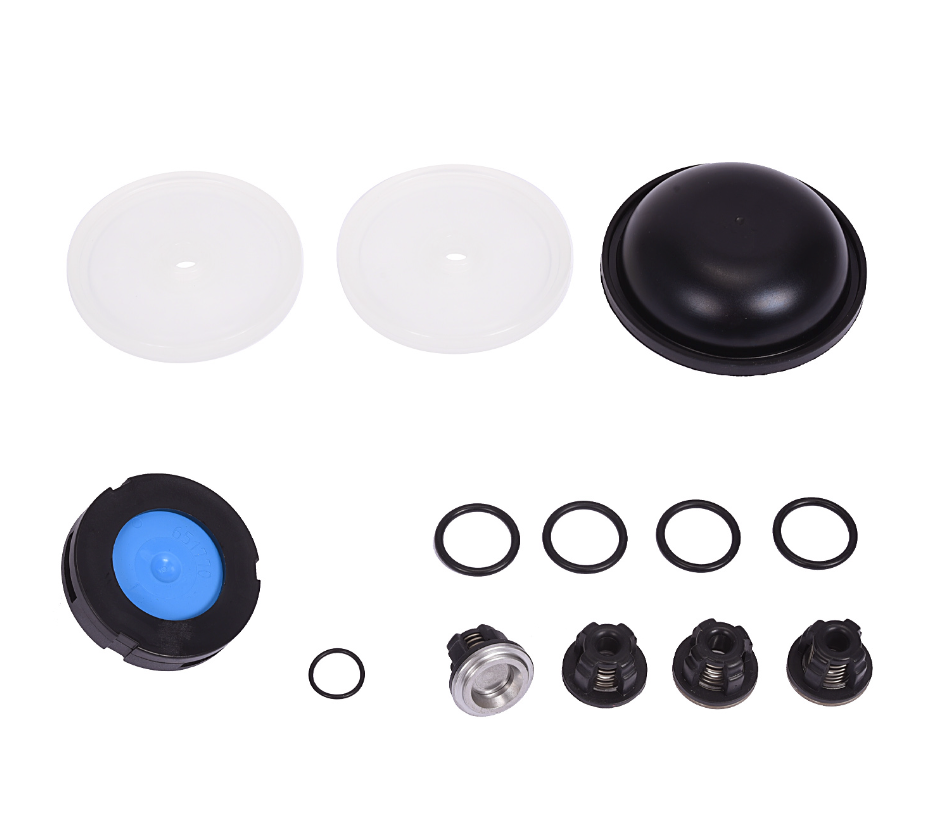 Hypro D50 Diaphragm & Valve Kit (New Style)