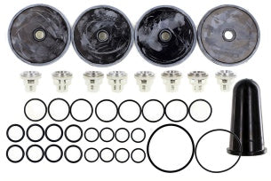 5026.0087 APS96 Diaphragm & Valve Kit