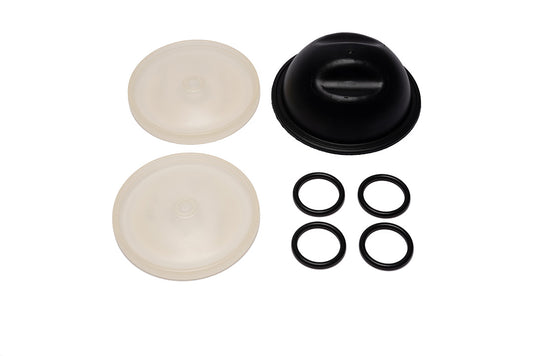 9910-KIT1723 D252 D19 Diaphragm Kit