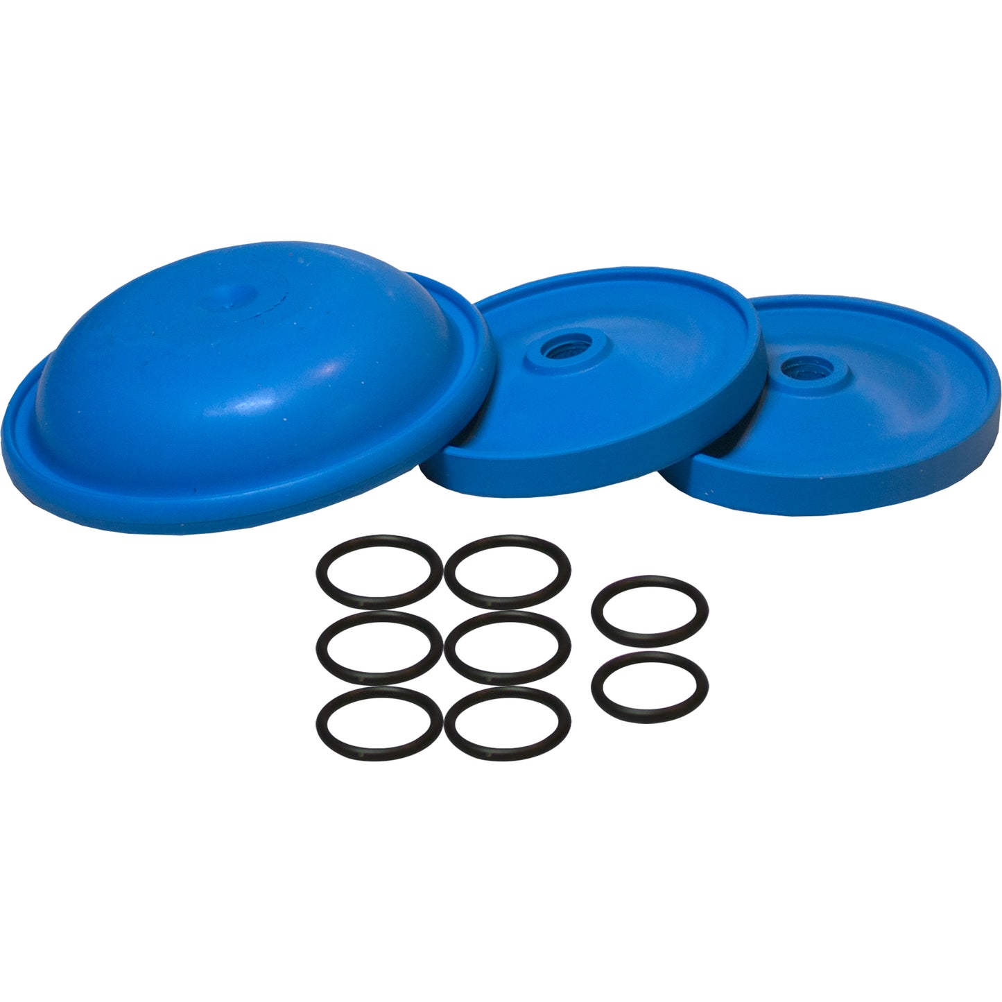 AR43281 AR252 BlueFlex Diaphragm Kit