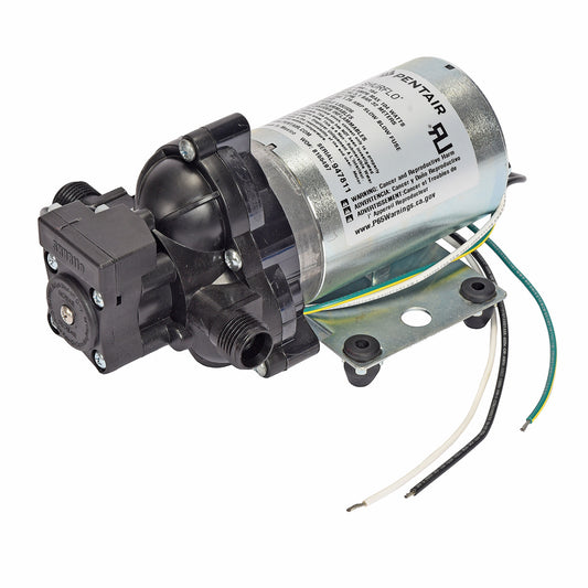 2088-394-154 Automatic Demand Pump 115VAC