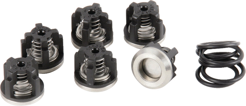 9910-KIT2445 DBA & DBS 110/140 Valve Kit