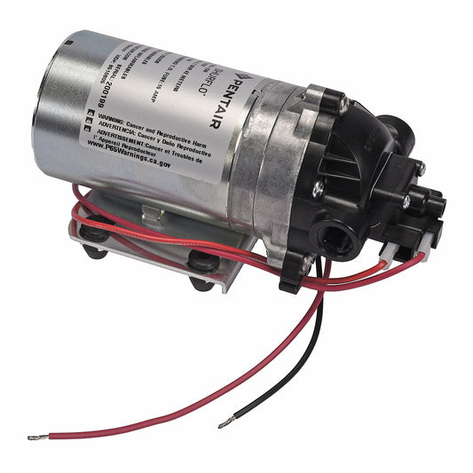 8000-343-236 All Viton 12VDC Pump