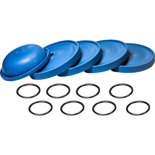 AR43323 BHA/BHP/BHS170 & 200 BlueFlex Diaphragm Kit