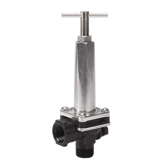 3/4" 300 PSI Relief Valve