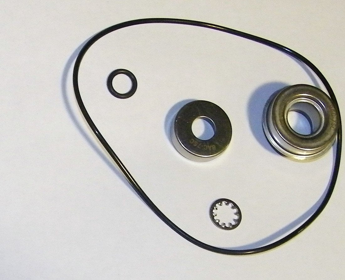 Silicon Carbide Repair Kit for Ace FMC-150 Series Pumps