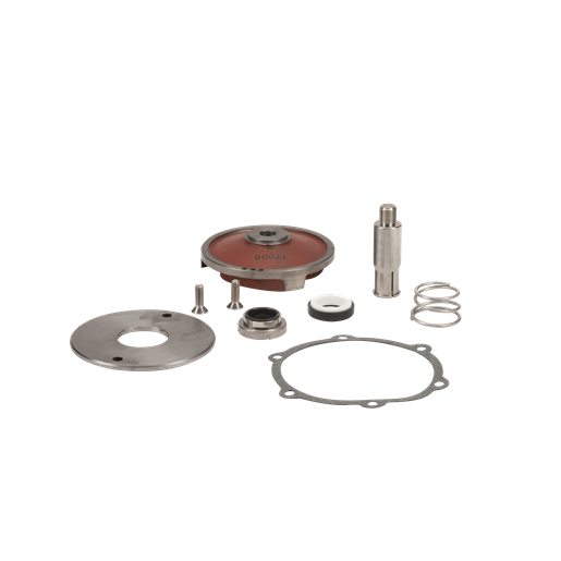 17100 2" Cast Iron 200 Series Repair Kit