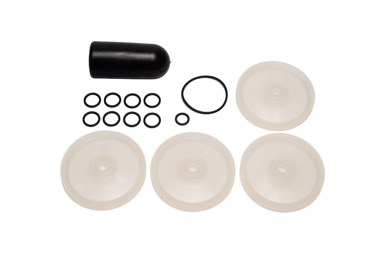 9910-KIT2480 D1064 Diaphragm Kit