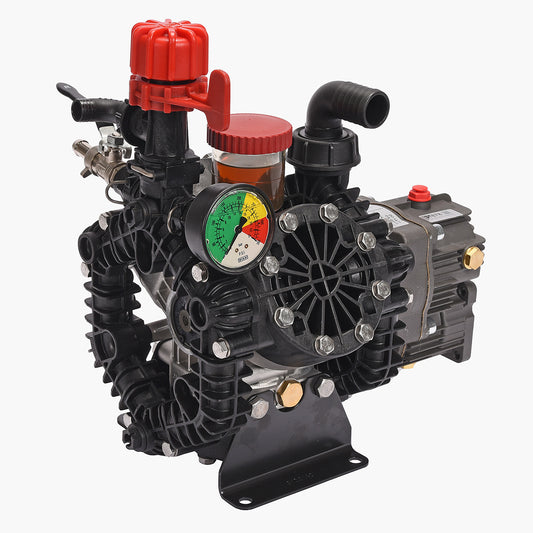 AR45LFP-GR-GCI Diaphragm Pump