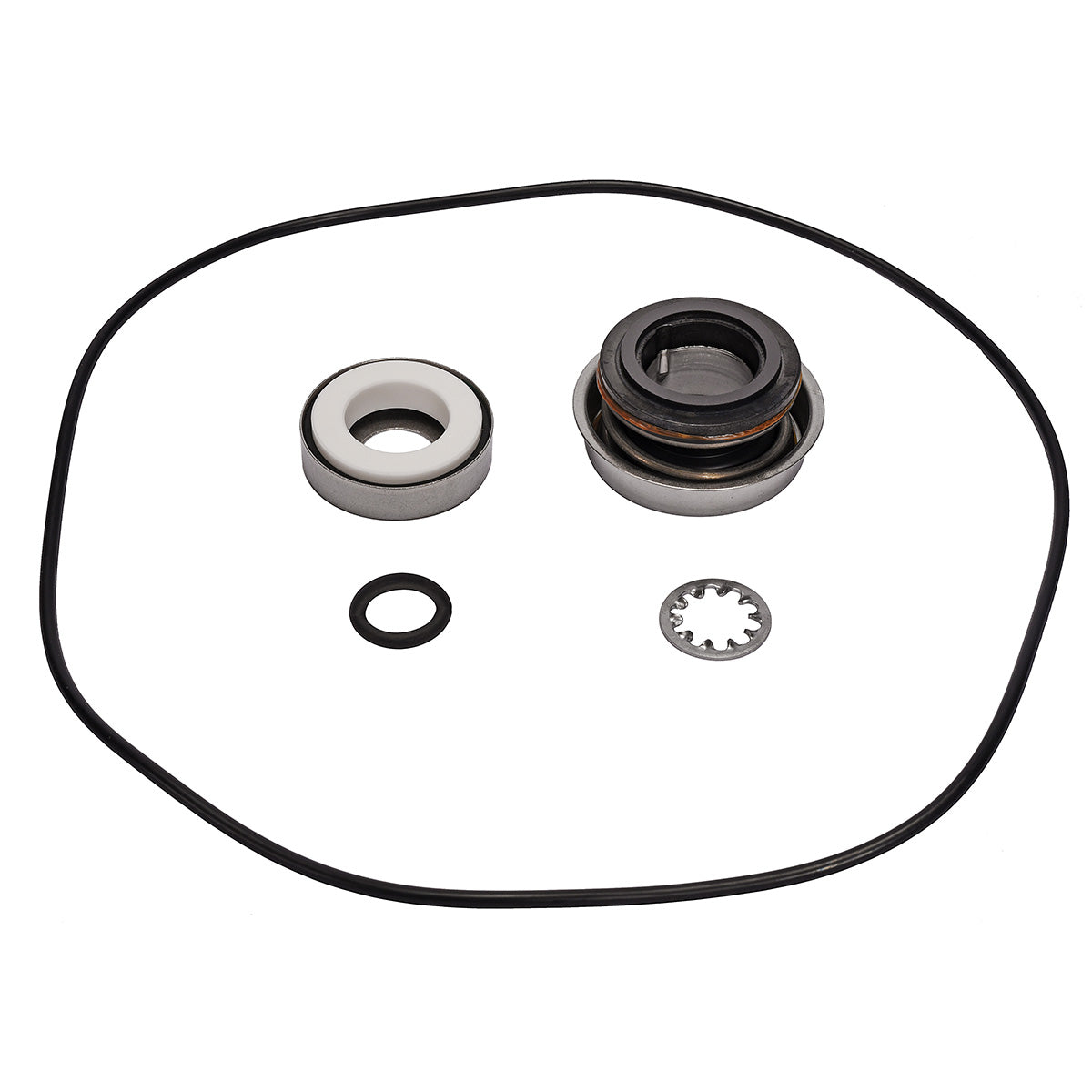 Repair Kit for Ace FMC-150 Series Pumps