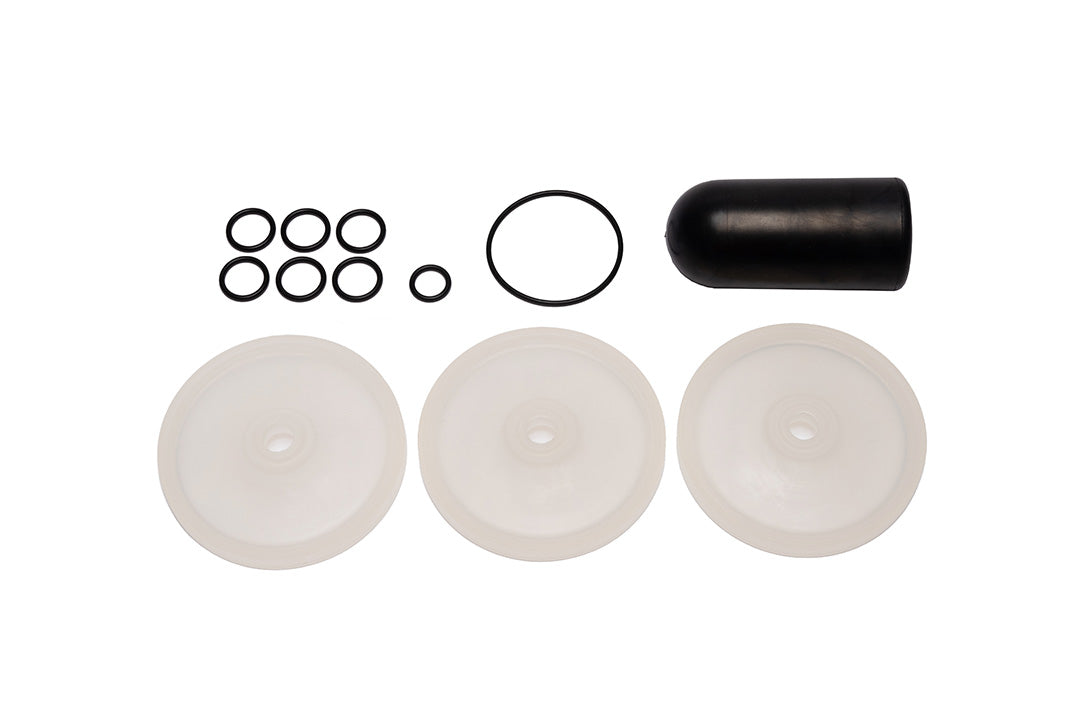 9910-KIT2479 D813 Diaphragm Kit