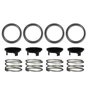 Valve & Seal Repair Kit (Viton)