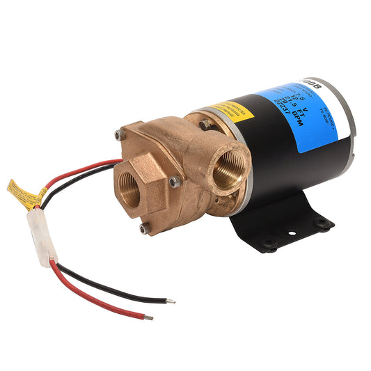 Hypro 9700B (Bronze) Aqua-Tiger 12V Pump