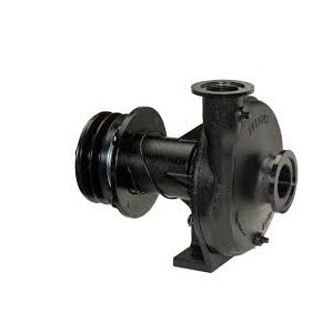 Ace FMC-650F-Mag-D Magnetic Driven Centrifugal Pump