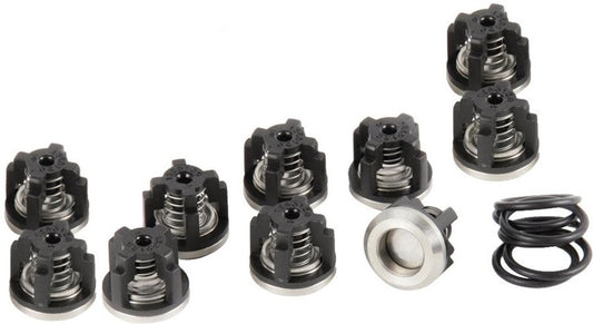 9910-KIT2024 D1265 Valve Kit