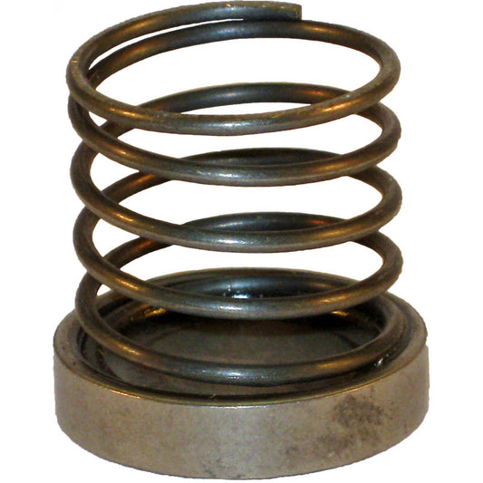 Valve Spring & Disc Assembly