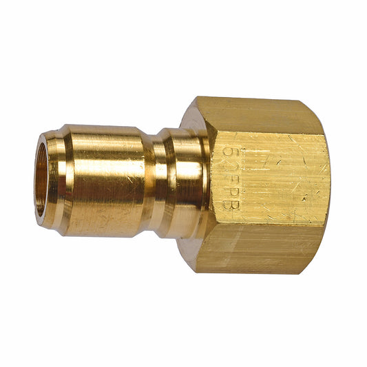 1/2" FPT Brass Plug