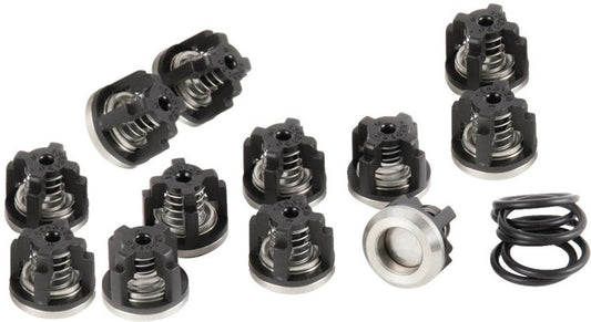 9910-KIT2114 D250 Valve Kit