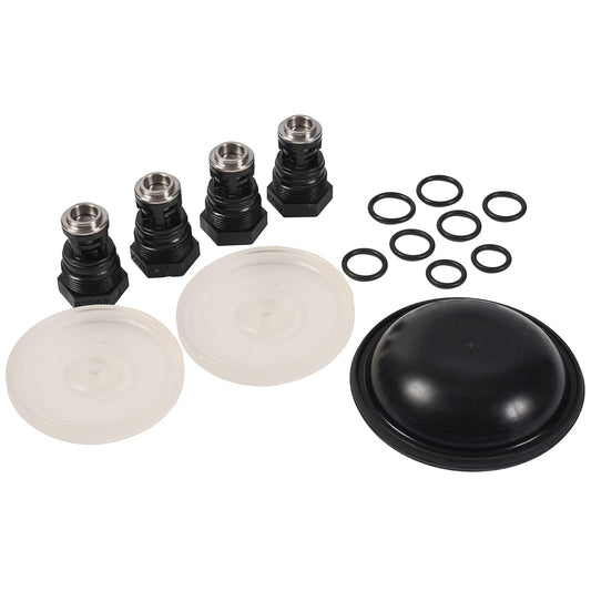 Hypro D252 Diaphragm & Valve Kit